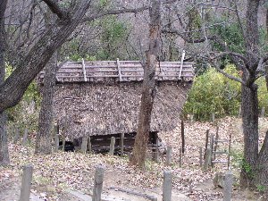 会下山遺跡