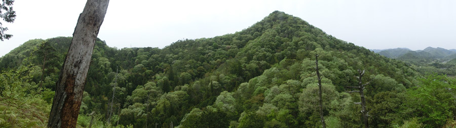 panorama