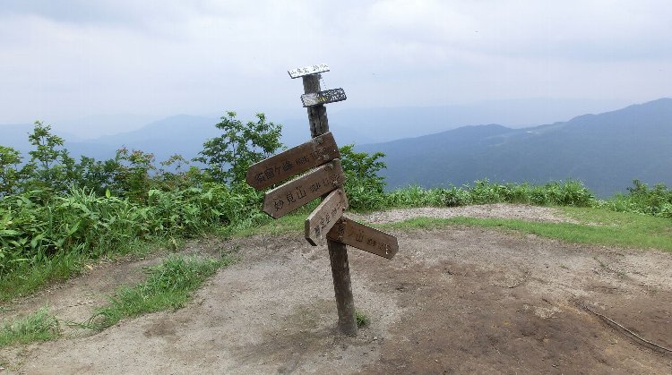santyo