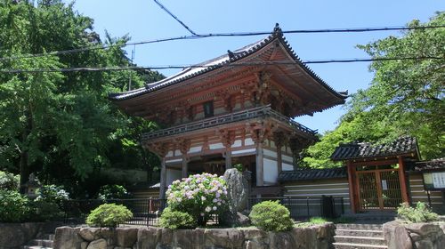 kyuanji