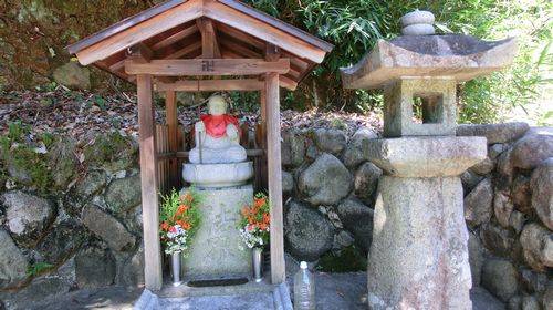 zijo