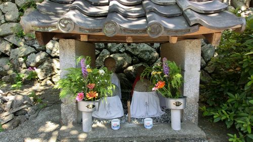 sekizo