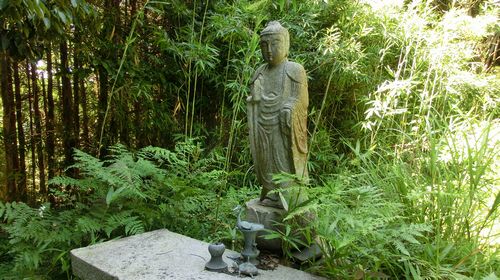 amida