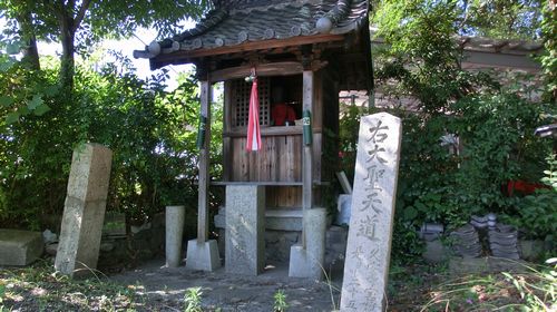 dohyo