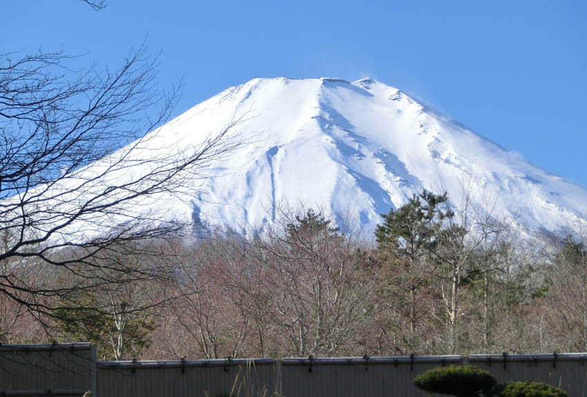 fuji