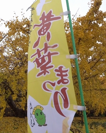 02oyyo